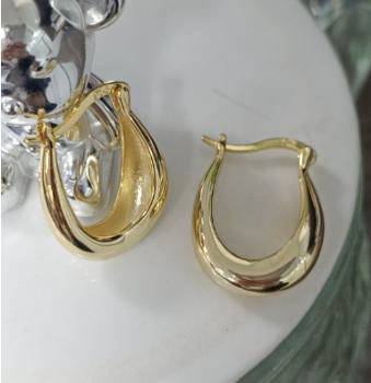 Gold Plated Earrings & Chunky Hoops - Trendy Statement Jewelry for Women