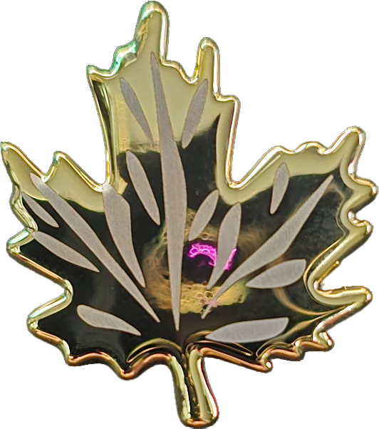 Elegant 18K Gold Plated Brass Brooch